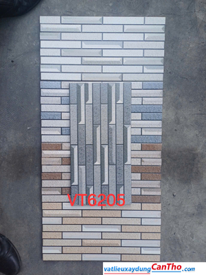 Việt Nhât VT 6205